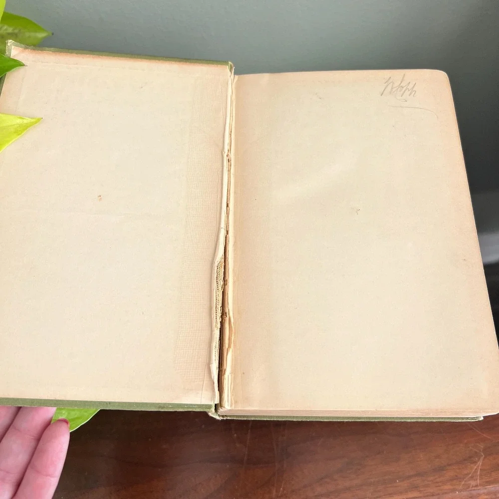 Antique 1902 Book The Strength Of Th Weak By Chauncey C. Hotchkiss 1st Edition - Picture 2 of 11